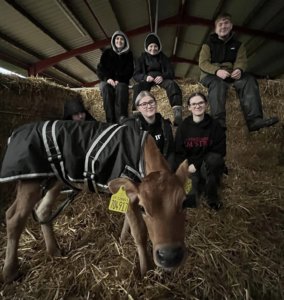 Agriculture students with the Jersey Cow donated by Tyers Hall Farm.