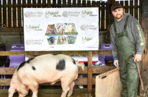 Animal Care student Harvey Boyes as a farmer selling Ernie the Gloucestershire Old Spot Boar.