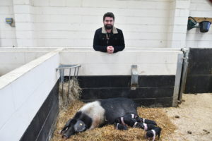 Macauley Parkin with a pig and piglets at Wigfield Farm