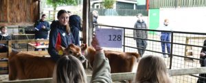 Animal Care student Daisy Land with Ginger the Jersey Cow at the Wigfield Farm mock auction