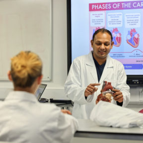 A man is wearing a lab coat and pointing at a section on a model heart.